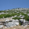 balazsh - 2011